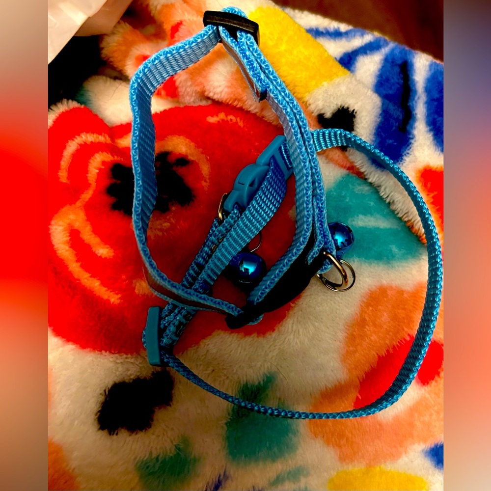 2 NEW cat collars